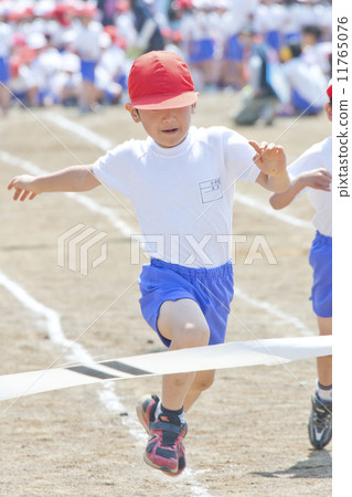 浣熊(種族) 浣熊(種族) 11765076