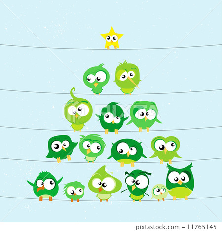 Birds on Wires 11765145