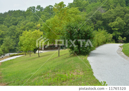 步行上田·Sannozan公園Shiota Hiradai 步行上田·Sannozan公園Shiota Hiradai 11765320