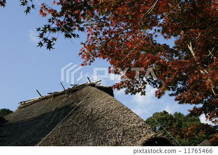 An old private house in autumn 11765466