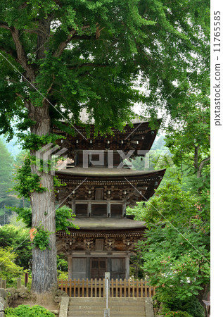 Takeshi Ueda · Mie Tower of Maeyamaji Important Cultural Property Shioda Ping 11765585