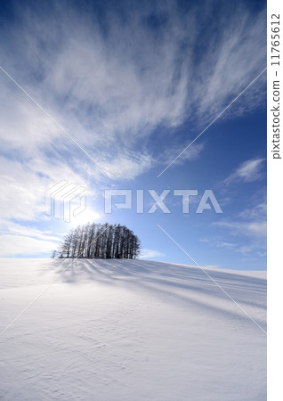 Mild Seven Tree 11765612