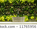 Lavatory 11765956
