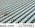 Grate of Drain cover 11765961