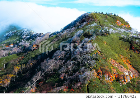 Wushin Ridgeline 11766422