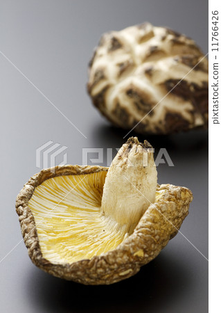 Dried shiitake mushroom 5 11766426