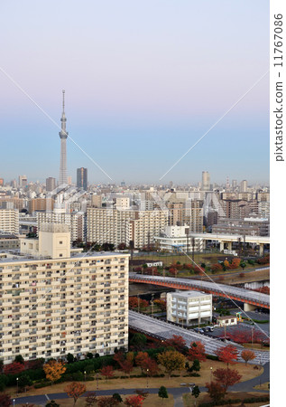 東京天空樹,從淺草東京Skytree拍攝從淺草拍攝 東京天空樹,從淺草東京Skytree拍攝從淺草拍攝 11767086