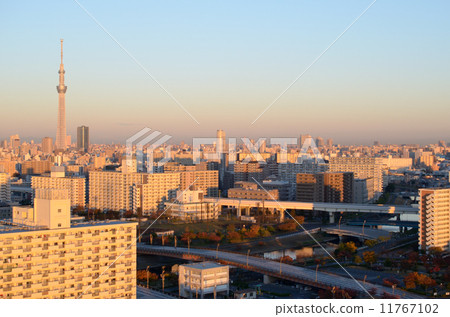 Tokyo Sky Tree, taken from Asakusa Tokyo Skytree photographed from Asakusa 11767102