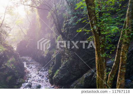 Morning white ravines 11767118