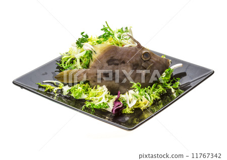 Fish Pesce San Pietro Fish Pesce San Pietro 11767342