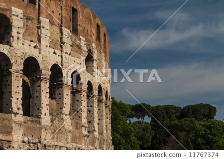 The Colosseum in Rome, Italy 11767374