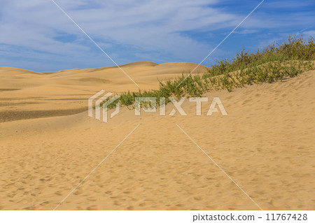 Maspalomas Duna - Desert in Canary island Gran Canaria 11767428