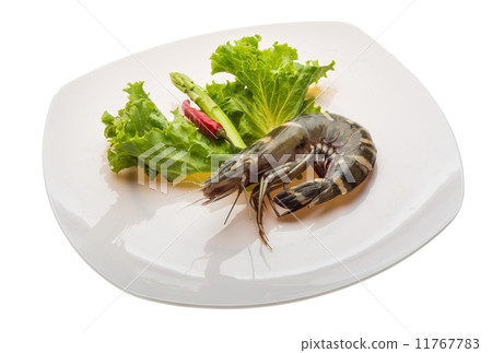 Tiger prawn Tiger prawn 11767783