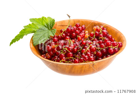 Red currant Red currant 11767908