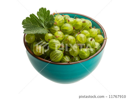 Gooseberry Gooseberry 11767910