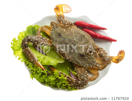 Raw crab 11767920