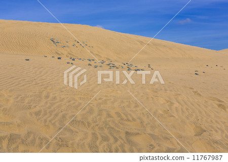 Maspalomas Duna - Desert in Canary island Gran Canaria 11767987
