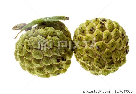 Noni fruit Noni fruit 11768006