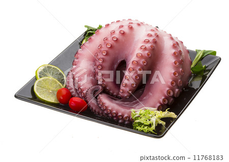 Large boiled octopus 11768183