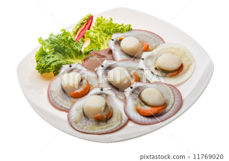 Raw fresh scallop 11769020