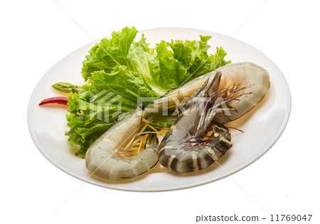 King and waterleg shrimps King and waterleg shrimps 11769047