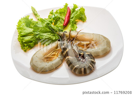 King and waterleg shrimps King and waterleg shrimps 11769208