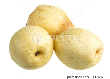 fresh nashi pear on a white background fresh nashi pear on a white background 11769256