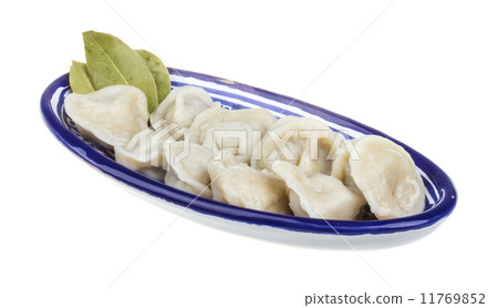 Bowl with traditional russian dish - pelmeni Bowl with traditional russian dish - pelmeni 11769852