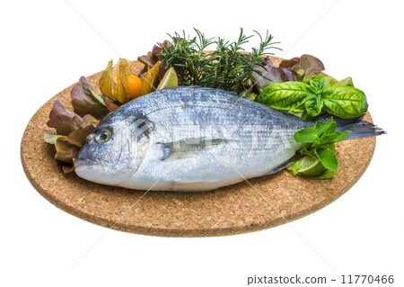 Fresh raw dorada Fresh raw dorada 11770466