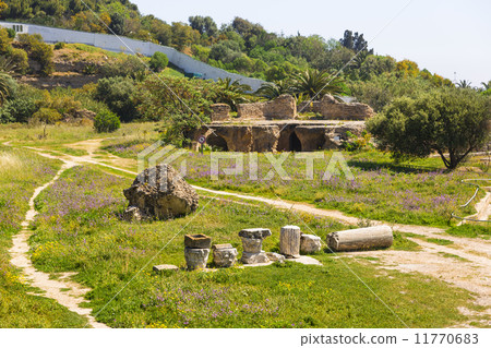 Old Carthage ruins 11770683