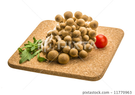 Japan mushroom Shimeji 11770963