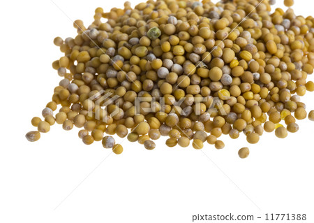 yellow mustard seeds yellow mustard seeds 11771388