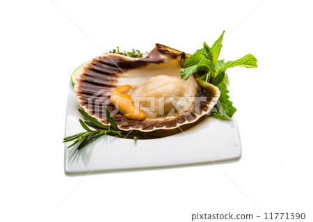 Scallop with asparagus, lime, mint and rosemary Scallop with asparagus, lime, mint and rosemary 11771390