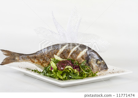 Dorada fish with salad on the white plate. Studio shot Dorada fish with salad on the white plate. Studio shot 11771474