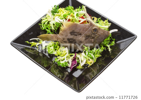 Fish Pesce San Pietro Fish Pesce San Pietro 11771726