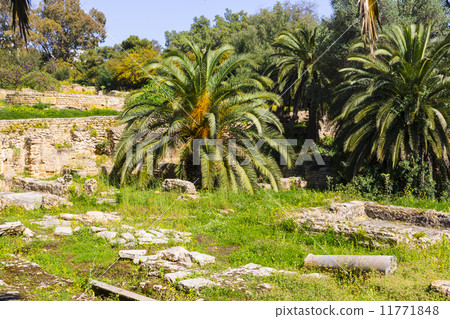 Old Carthage ruins 11771848