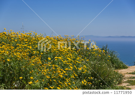 Mediterranean sea coast 11771950