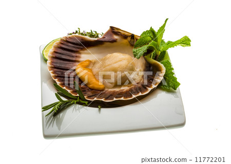 Scallop with asparagus, lime, mint and rosemary 11772201