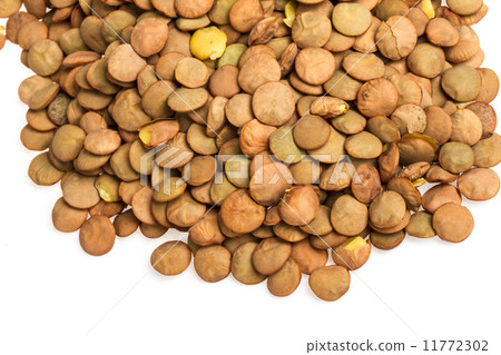 Lentils Isolated on White Background 11772302