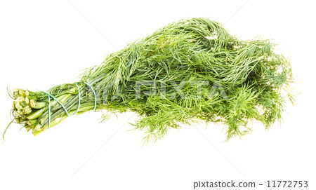 Fresh branches of green dill isolated on white background. 11772753