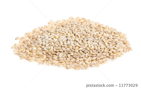 Pile of Pearl Barley isolated on white 11773029