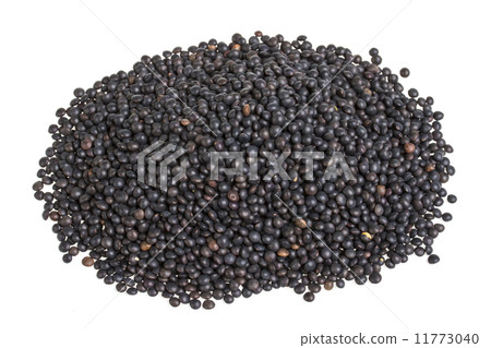 Heap of black lentil isolated on white Heap of black lentil isolated on white 11773040
