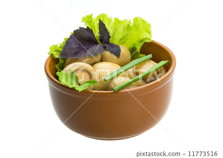 Ripe fresh Champignon Ripe fresh Champignon 11773516