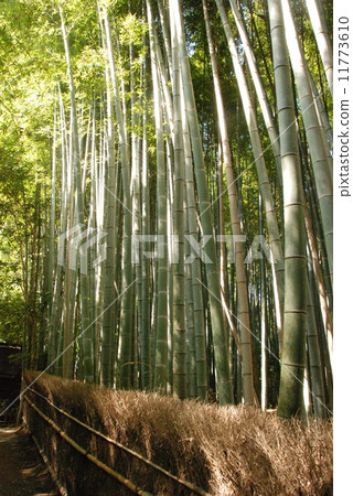 Takebayashi(Gioji /京都市Sakaedori-gominosaka-cho,Kyoto Ward) Takebayashi(Gioji /京都市Sakaedori-gominosaka-cho,Kyoto Ward) 11773610