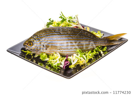 Salema porgy - sarpa fish Salema porgy - sarpa fish 11774230