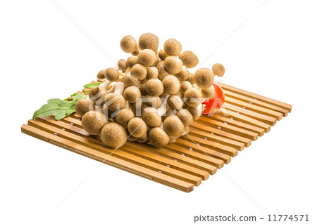 Japan mushroom Shimeji 11774571