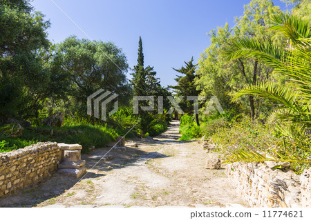 Old Carthage ruins Old Carthage ruins 11774621