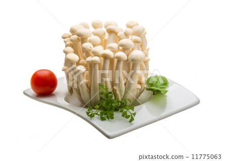 Japan mushroom Shimeji 11775063