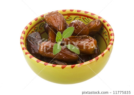 Dates 11775835