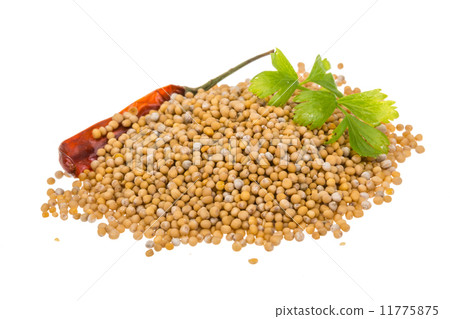 Mustard seeds 11775875